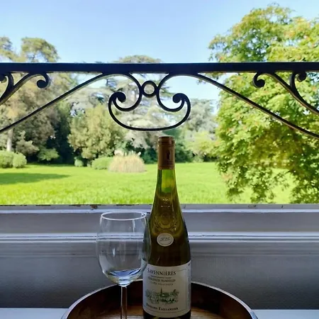 Chateau De La Guerche Apartament *